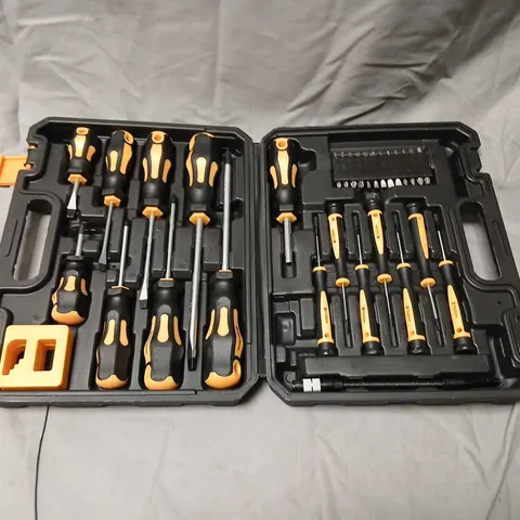 SCREWDRIVER SET WITH INTERCHANGEABLE BITS IN PLASTIC CARRY CASE