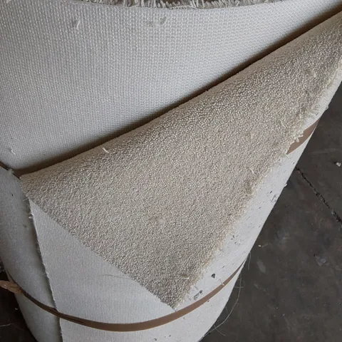 ROLL OF QUALITY DIMENSIONS 50 CARPET // APPROX SIZE: 1 X 38.27M