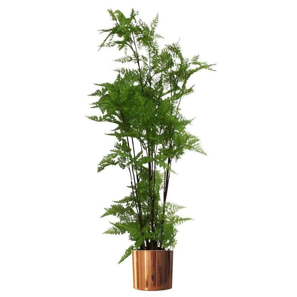 BOXED 150CM ARTIFICIAL MOSS TREE IN POT