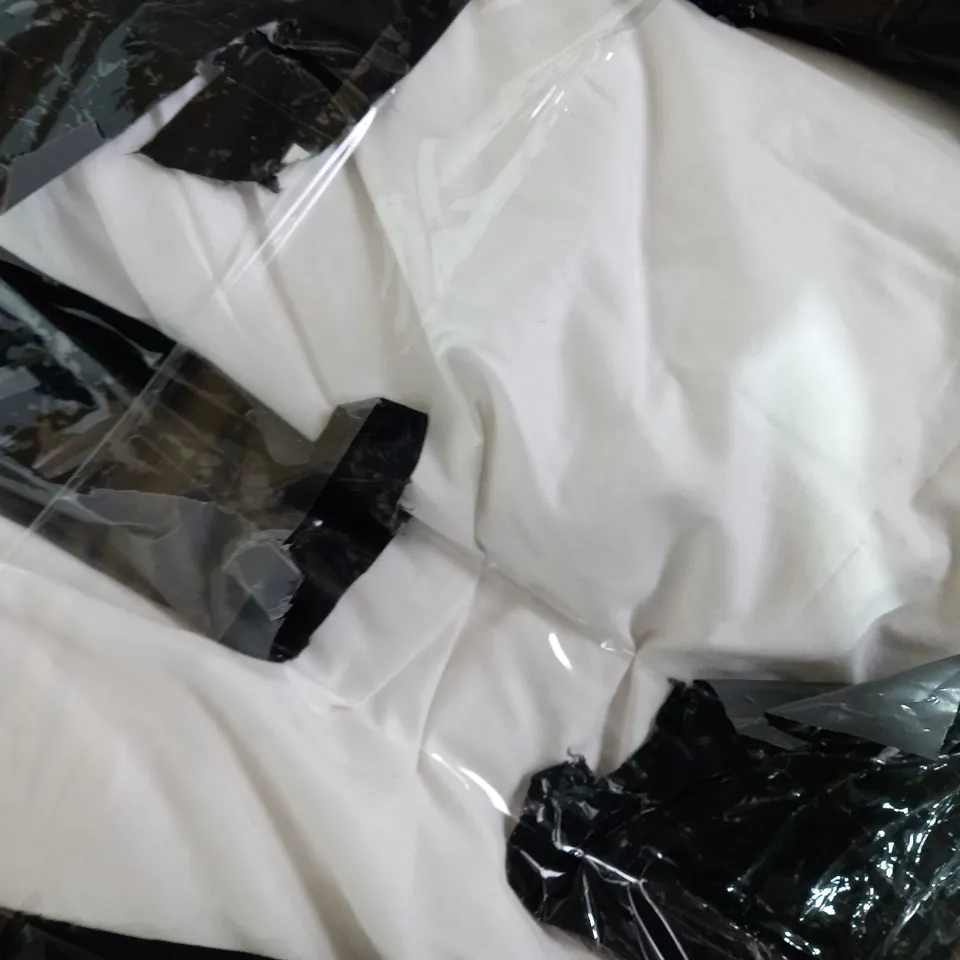 NORTHERN NIGHTS SET OF PUR FEATHER PILLOWS