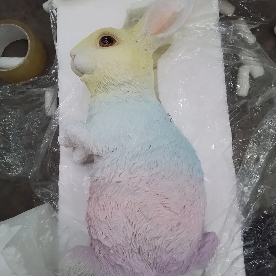 BOXED GARDEN RAINBOW BUNNY