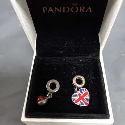 SET OF 2 BRACELET CHARMS
