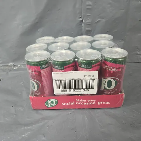 J2O APPLE AND RASPBERRY CAN X12