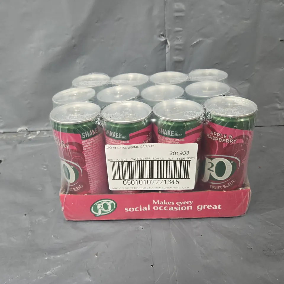J2O APPLE AND RASPBERRY CAN X12 
