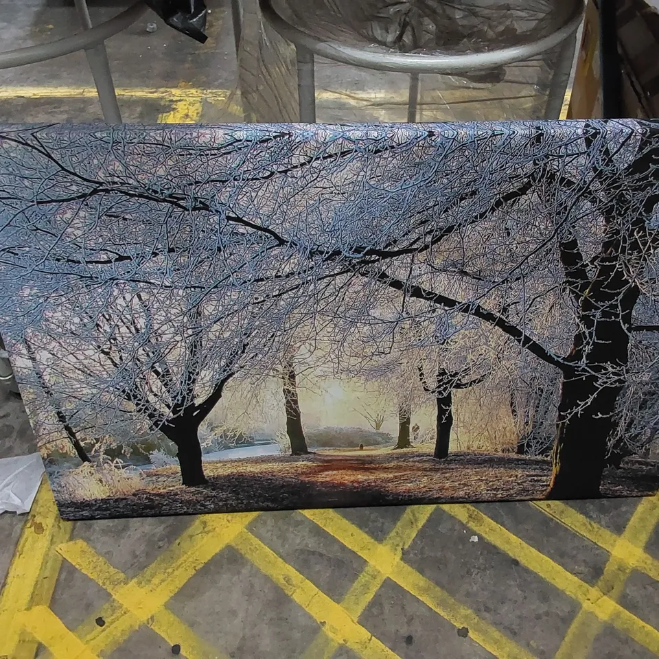 BEAUTIFUL WINTER LIGHT FOREST - WRAPPED CANVAS