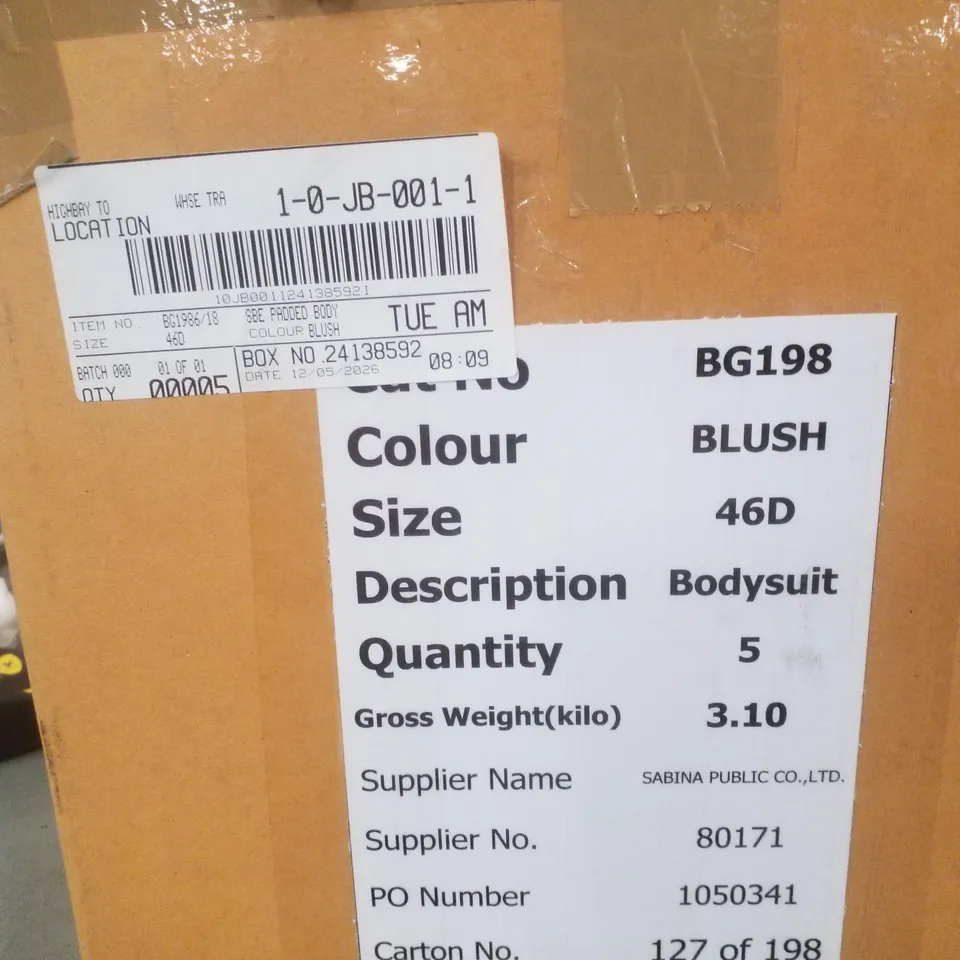 BOX CONTAINING APPROXIMATELY 5 BRAND NEW MAGISCULPT BLUSH BODYSUITS - SIZE 46D