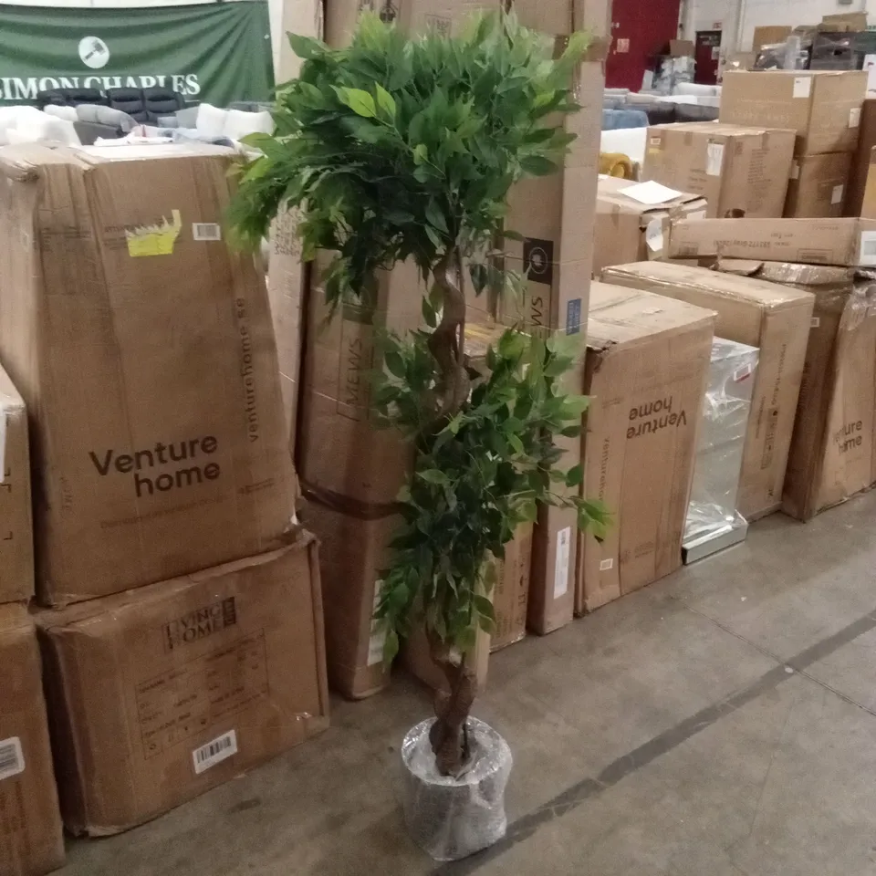 LEAF 150cm H FAUX FICUS TREE WITH BENT TRUNK 