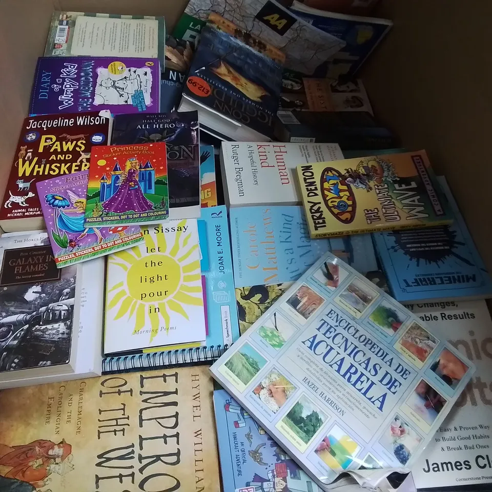 LARGE QUANTITY OF ASSORTED BOOKS TO INCLUDE WONDERS OF LIFE BY BRIAN COX AND MINECRAFT DEEP DIVE