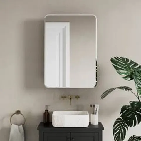 BOXED FULTON BATHROOM MIRROR WALL CABINET - BLACK (1 BOX)