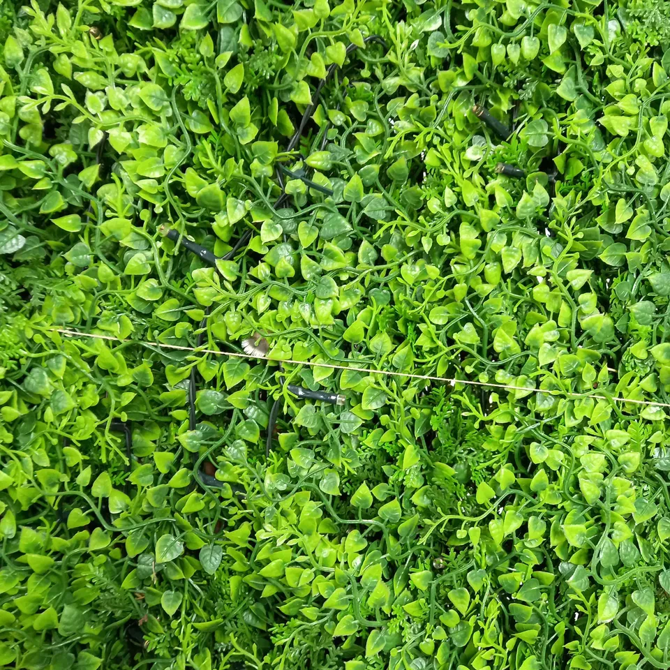 LIGHT UP LIVE WALL 100X200CM - COLLECTION ONLY