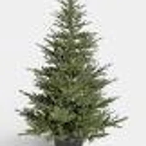 BOXED PRE LIT POTTED COTSWOLD TREE