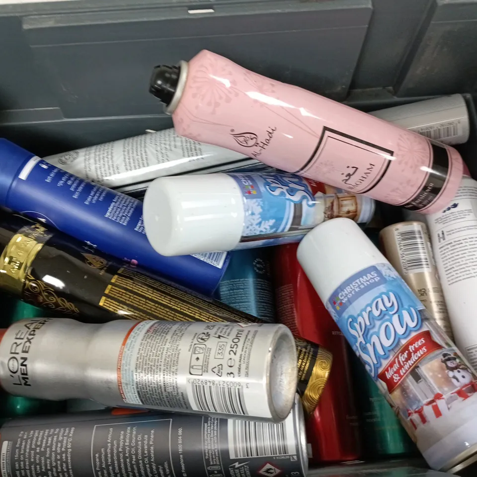 APPROXIMATELY 12 ASSORTED AEROSOLS TO INCLUDE LOREAL MEN EXPERT 48H, SNOW SPRAY, THE RITUAL OF KARMA SPRAY, ETC