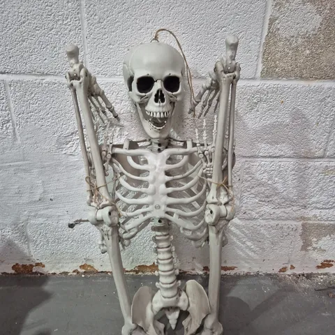 LIFE-SIZE HALLOWEEN SKELETON PROP β PLASTIC SKELETON