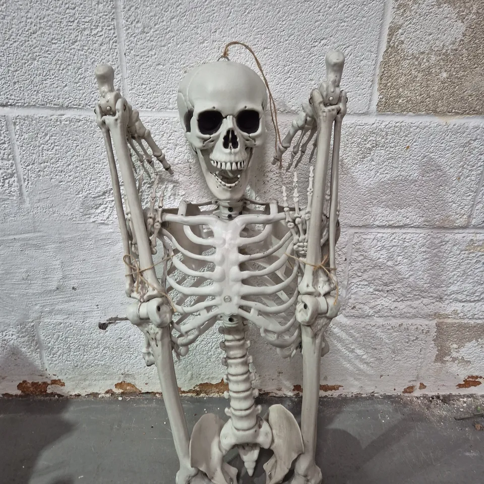 LIFE-SIZE HALLOWEEN SKELETON PROP – PLASTIC SKELETON 