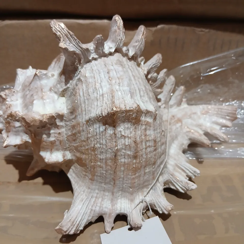 APPROXIMATELY 16 GISELA GRAHAM WHITE DECORATIVE CORAL ORNAMENT