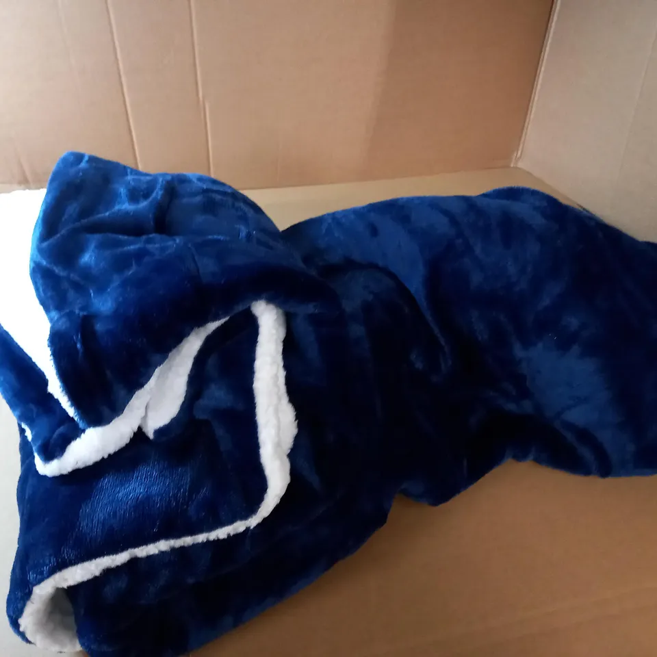 LARGE BLUE/WHITE TEDDY BEAR THROW