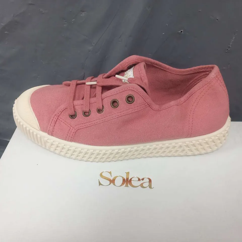 BOXED SOLEA BUMP PALE PINK CANVAS SNEAKERS SIZE 37