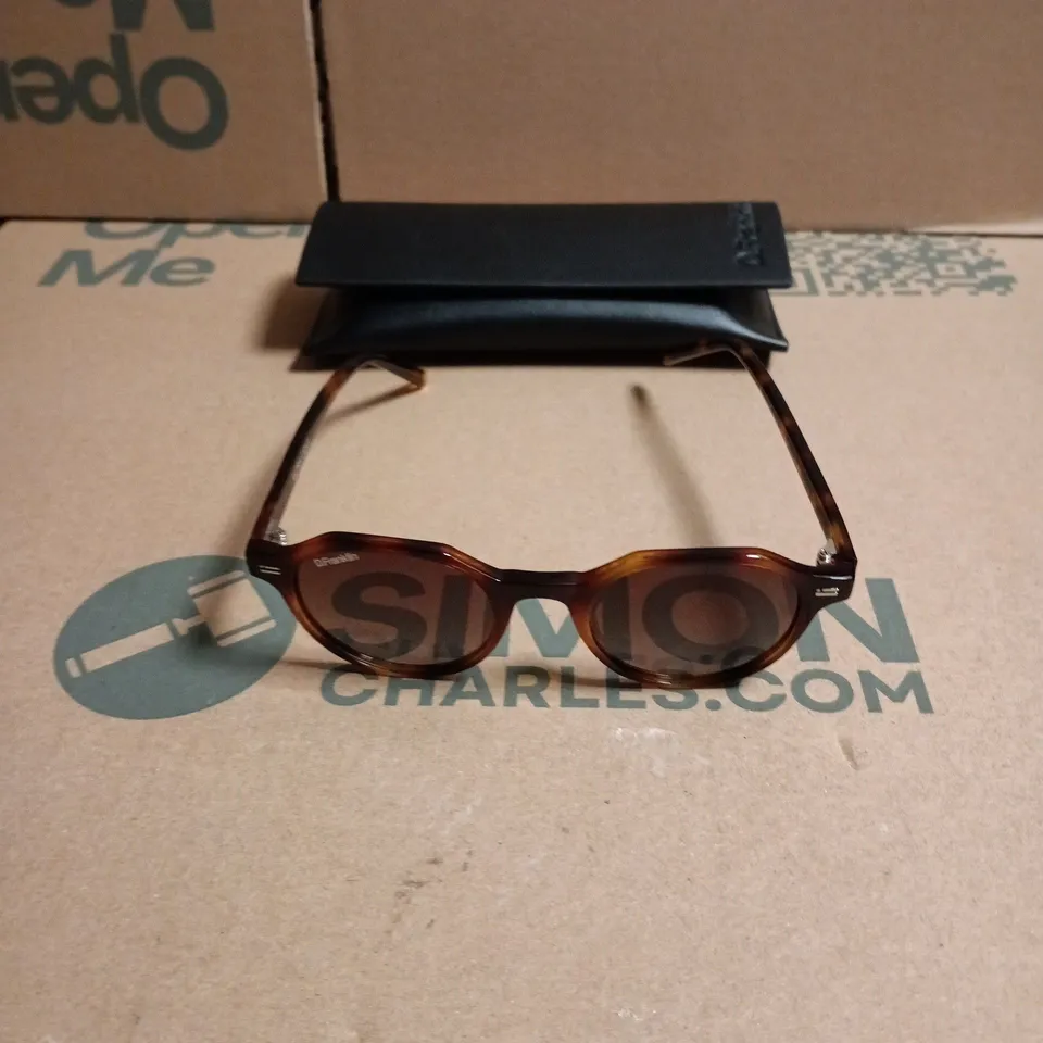 D FRANKLIN SUNGLASSES, TORTOISESHELL FRAME