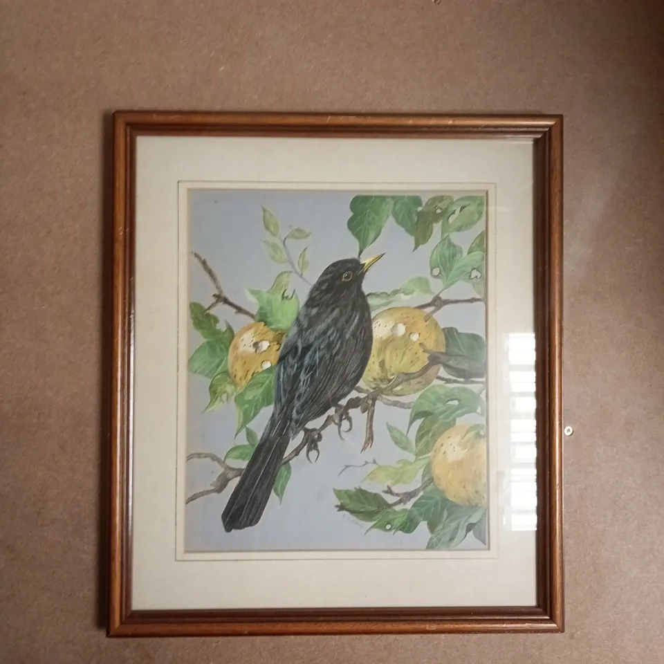 FRAMED BLACKBIRD ART PRINT
