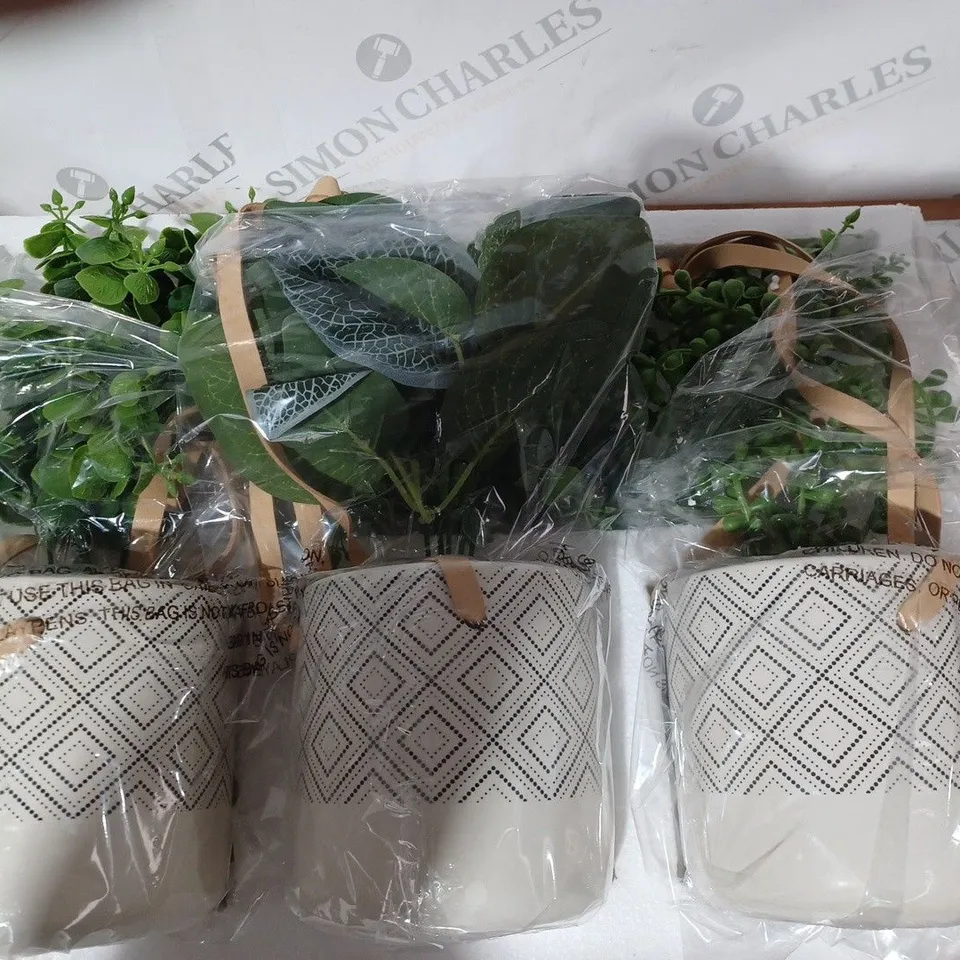 MY HOME STORIES SET OF HANGING FAUX PLANTS IN CERAMIC POTS