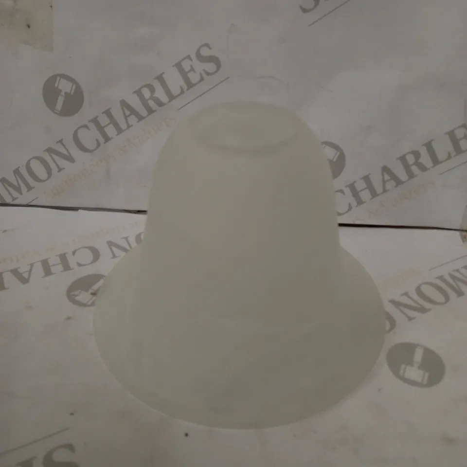 DAVID HUNT LIGHTING GLASS SHADE