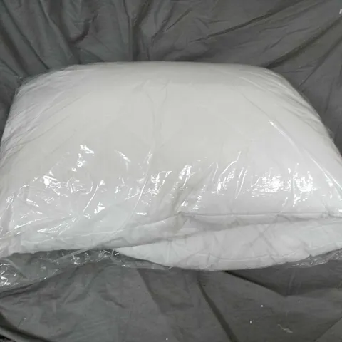 2 X WHITE PILLOW IN CLEAR PLASTIC PACKAGING