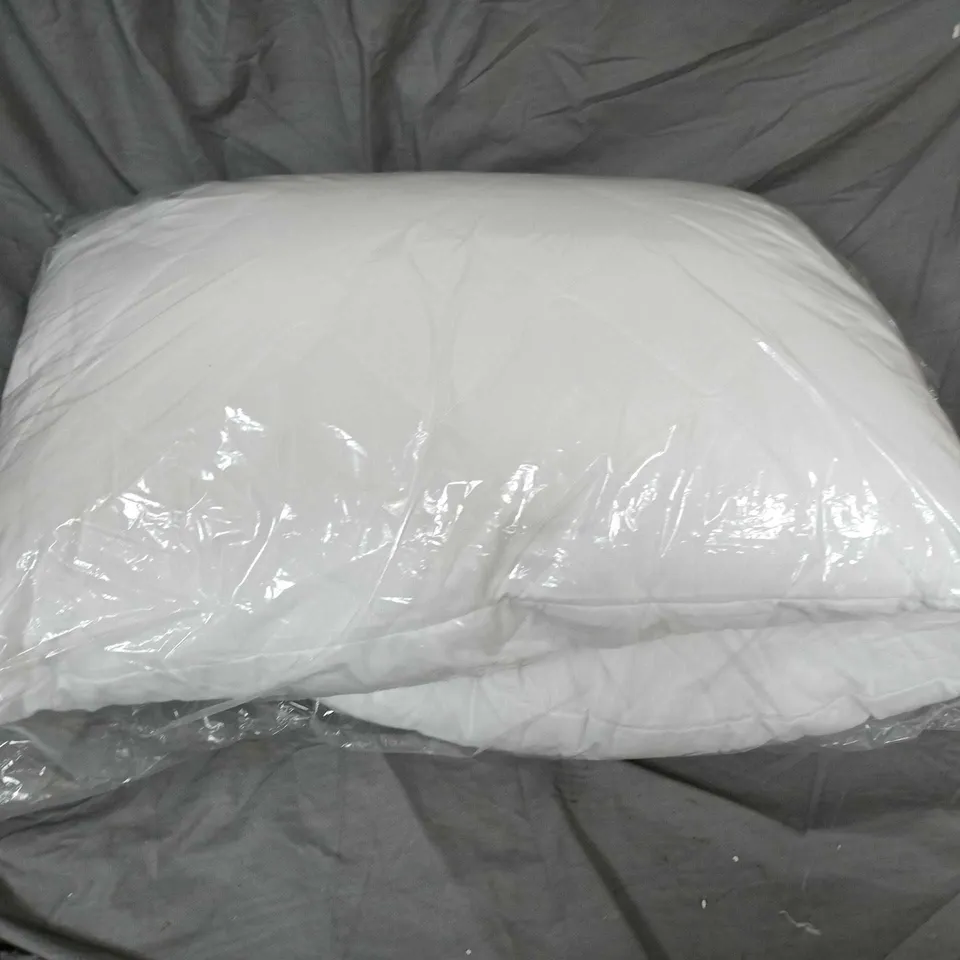 2 X WHITE PILLOW IN CLEAR PLASTIC PACKAGING