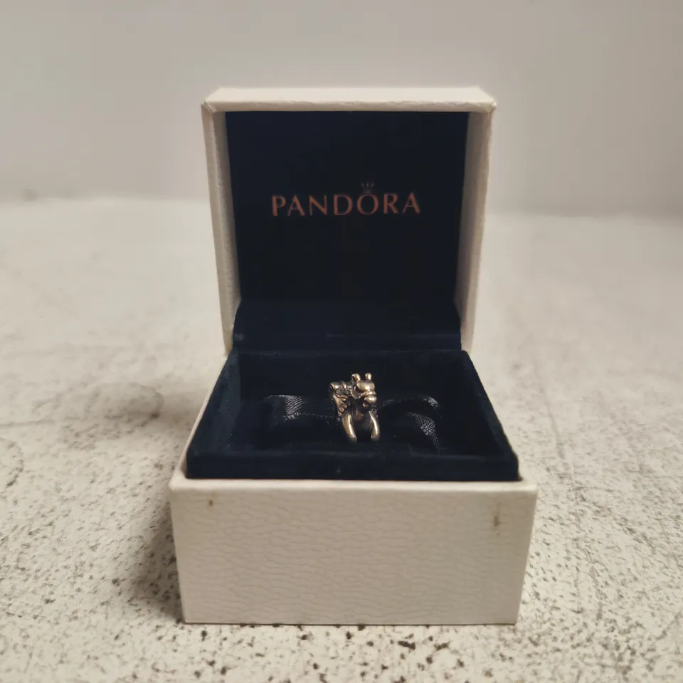 PANDORA CHARM IN PRESENTATION BOX
