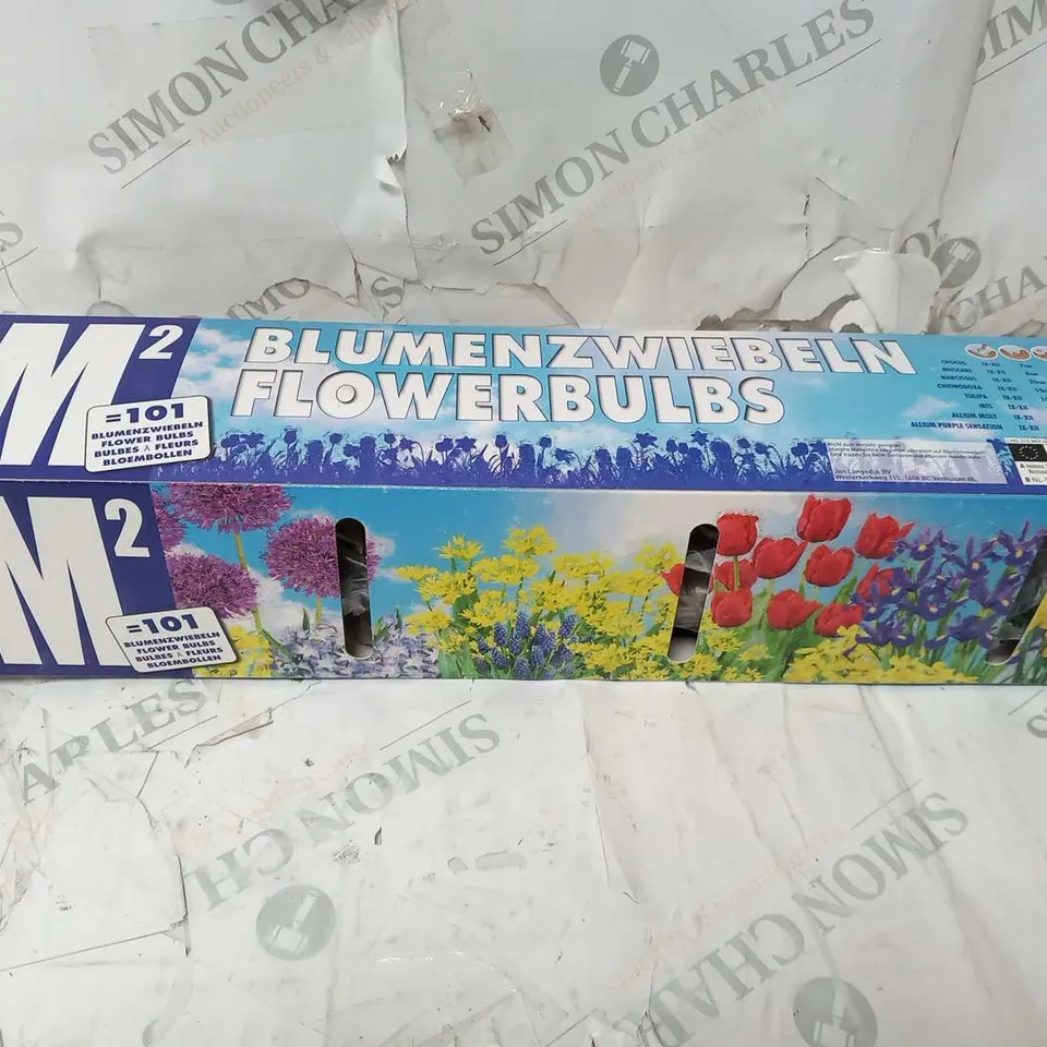 APPROXIMATELY 8 BOXED 1MSQ FLOWERBULBS EACH BOX CONSISTING 101 BULBS TO INCLUDE; ALLIUM, IRIS, CHIONDOXA, TULIPA, NARCISSUS, MUSCARI AND CROCUS