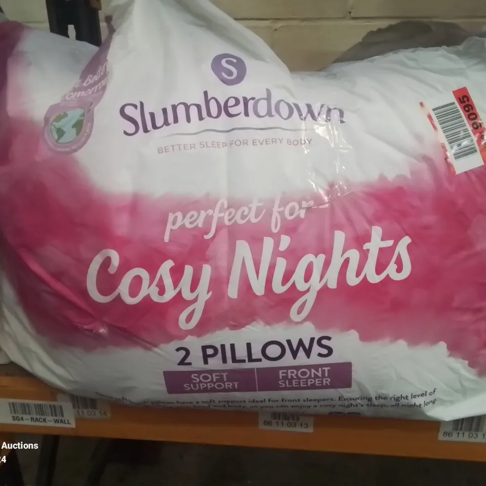 BAGGED SLUMBERDOWN COSY NIGHTS PILLOW 