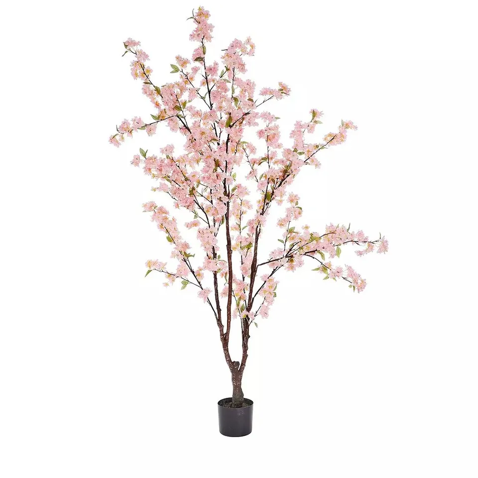 SMART GARDEN PINK CHERRY TREE - COLLECTION ONLY