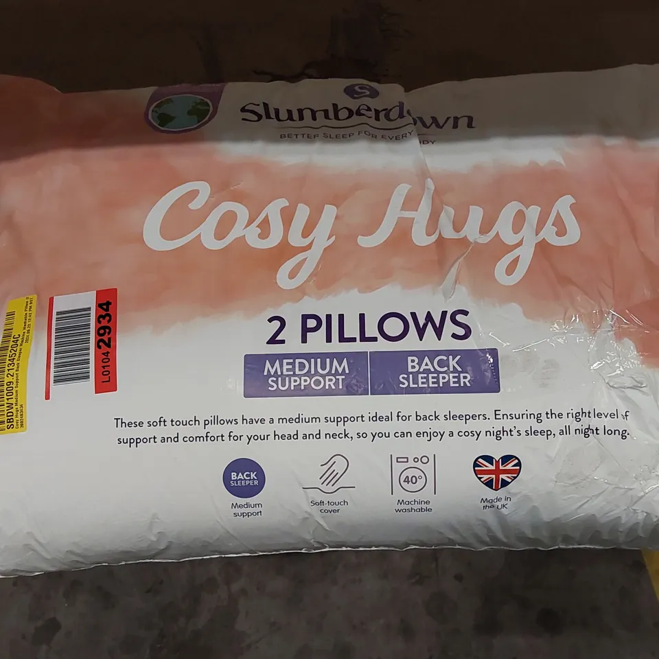 BAGGED SLUMBERDOWN COSY HUGS MEDIUM BACK SUPPORT PILLOWS - SET OF 2 (1 ITEM)