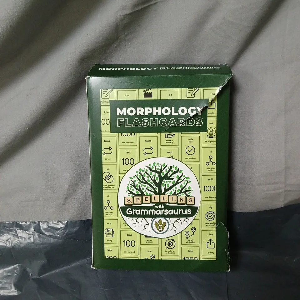 MORPHOLOGY FLASHCARDS WITH GRAMMARSAURUS — BOXED EDUCATIONAL CARD SET