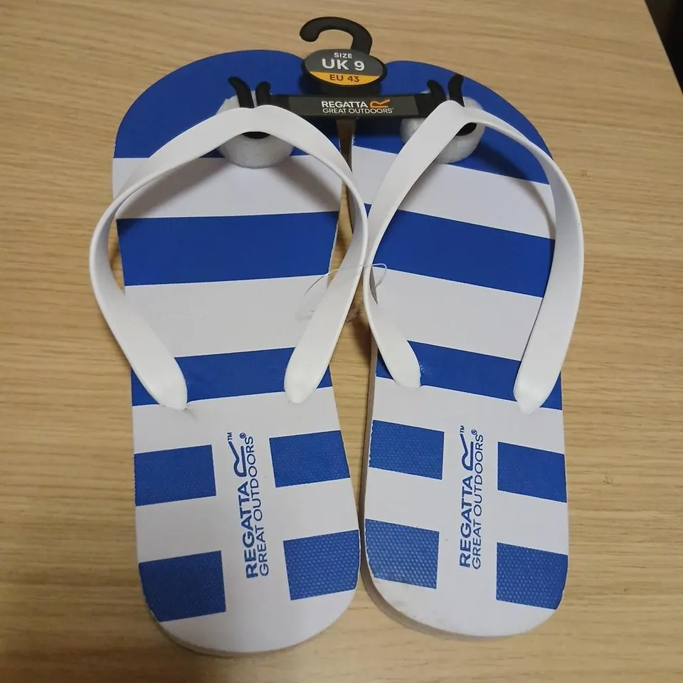 REGATTA GREAT OUTDOORS MEN'S FLIP FLOPS – BLUE & WHITE STRIPED, UK 9
