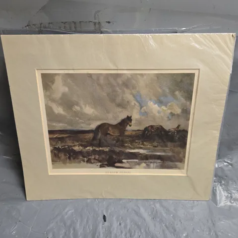EXMOOR PONIES – PHOTO-LITHOGRAPH (1ST EDN. 1948) LIONEL EDWARDS