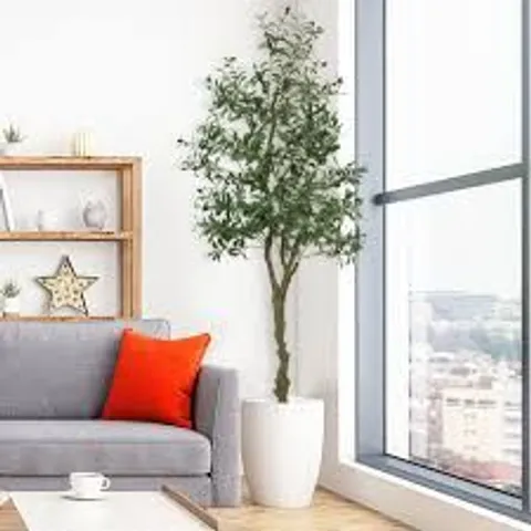 BOXED 210CM FAUX OLIVE TREE