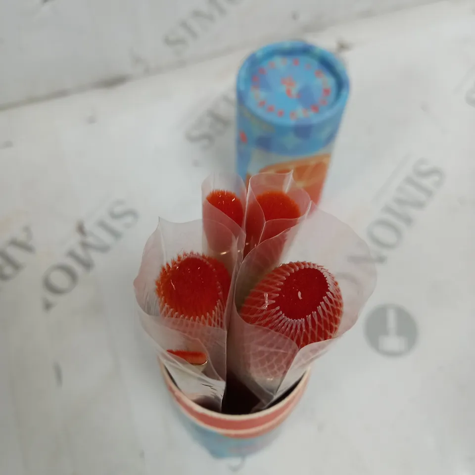 SPECTRUM COCKTAILS SPRITZ MIDI 5 PIECE MAKEUP BRUSH SET