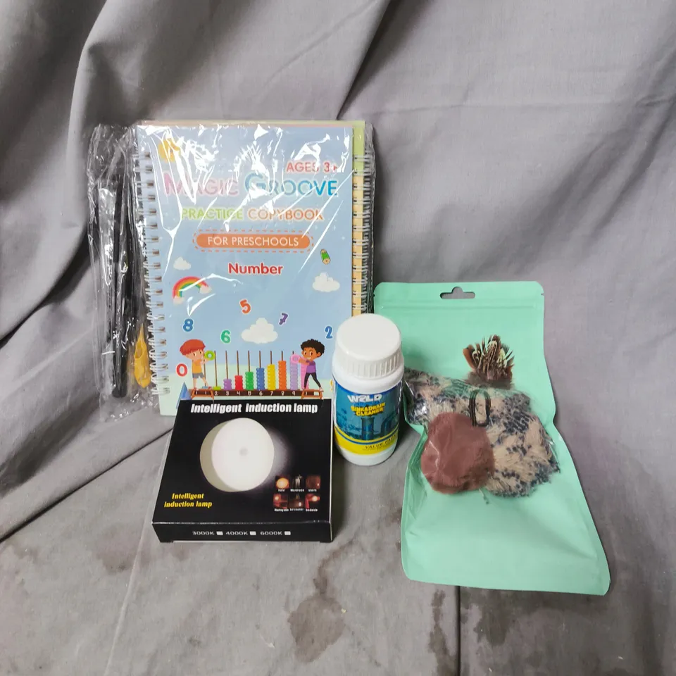 APPROXIMATELY 15 ASSORTED HOUSEHOLD ITEMS TO INCLUDE MAGIC GROOVE PRACTICE COPYBOOK, SINK AND DRAIN CLEANER AND INTELLIGENT INDUCTION LAMP