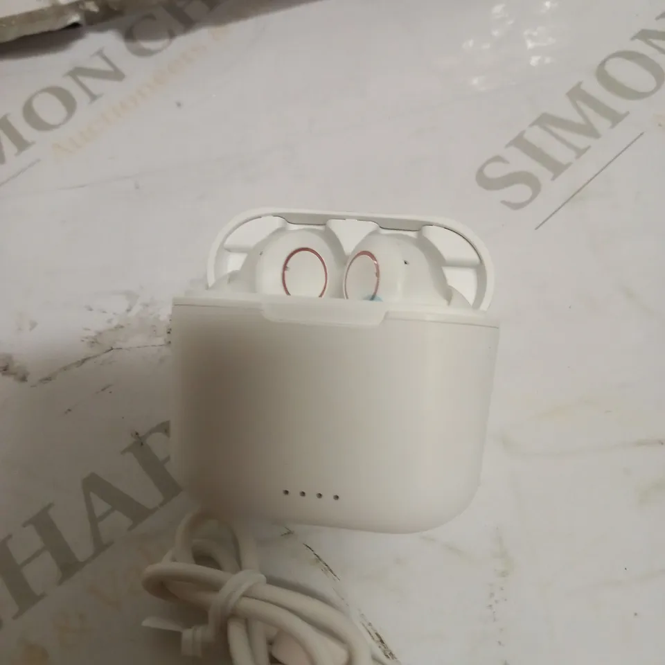 BLUETOOTH TRUE WIRELESS EARBUDS 