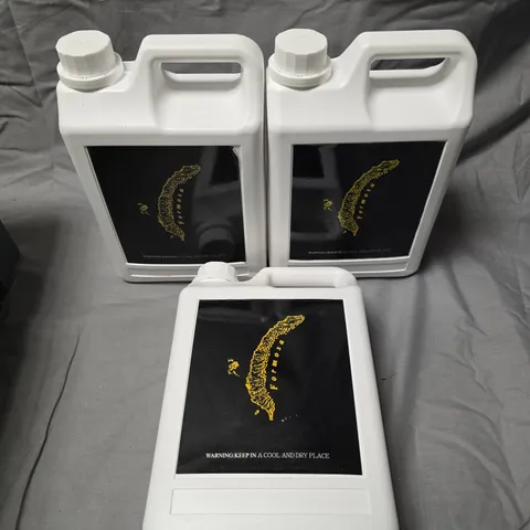 3 X ASSORTED FORMOSA SYRUP FLAVOURS TO INCLUDE PASSIONFRUIT, MANGO & WATERMELON 