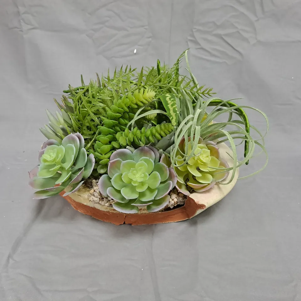 SUCCULENT PLANTER IN CERAMIC DISH (GARDEN ORNAMENT)