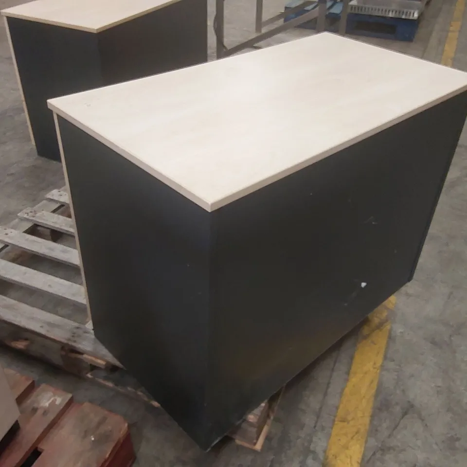 2-DOOR OFFICE CABINET