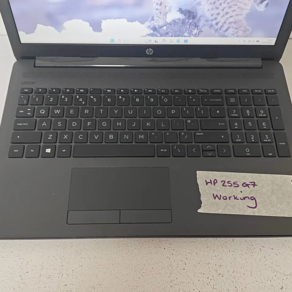 UNBOXED HP 255 G7 LAPTOP IN GREY