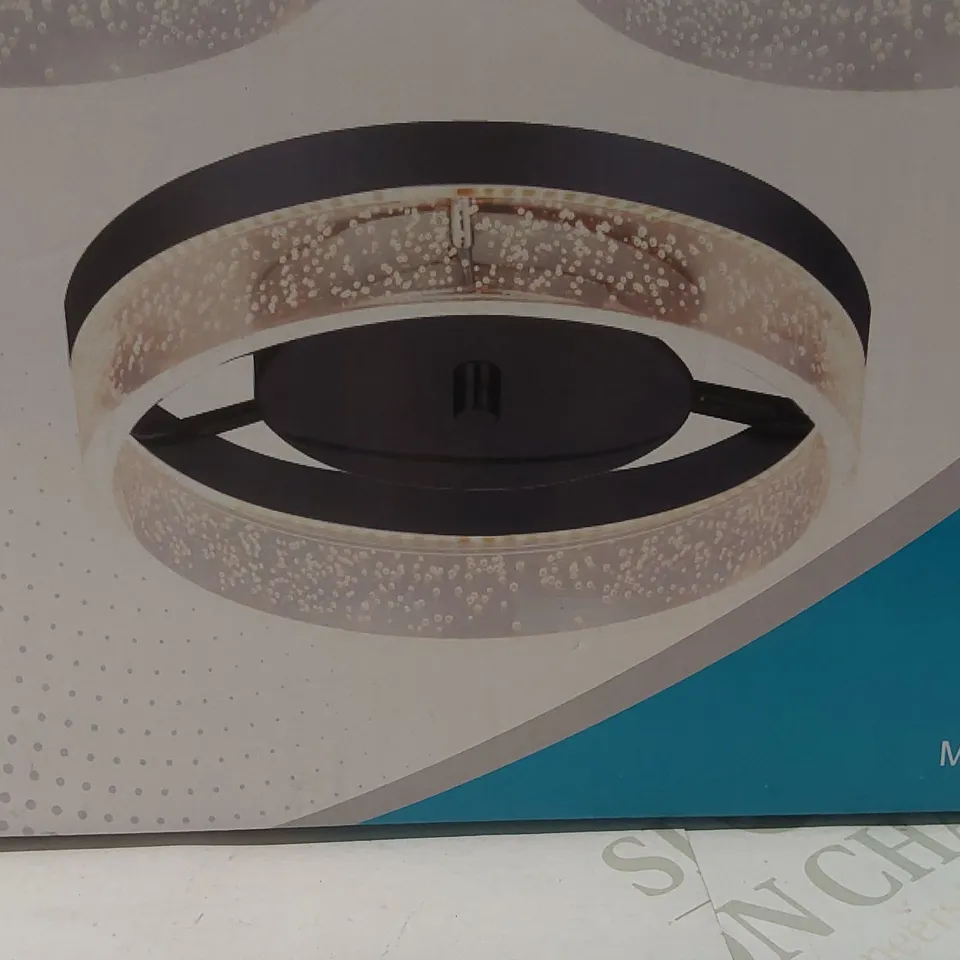 BOXED 1-LIGHT 29.6CM LED DIMMABLE FLUSH MOUNT CEILING LIGHT 