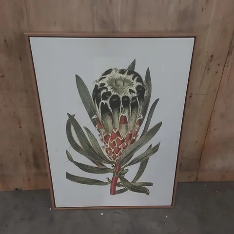 FRAMED BOTANICAL PRINT ARTWORK