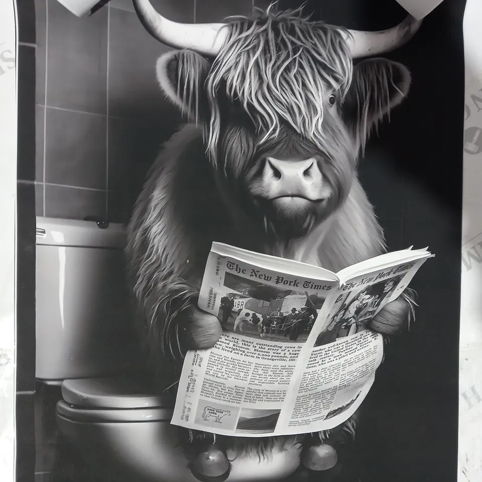 HIGHLAND COW NOVELTY BLACK AND WHITE ART PRINT