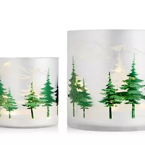 HOME REFLECTIONS SET OF 2 FROSTED GLASS HURRICANE WITH LED LIGHT STRANDS