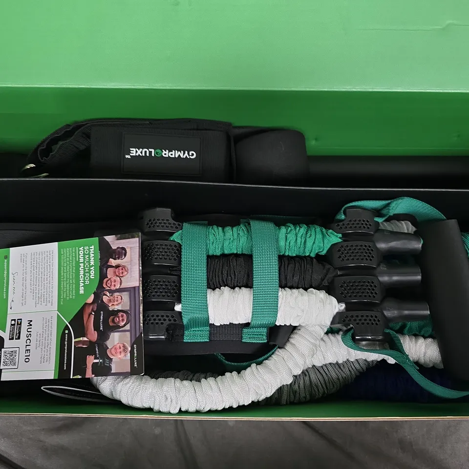 BOXED GYMPRO LUXE ALL-IN-ONE PORTABLE GYM – BOXED SET WITH RESISTANCE CORDS & HANDLES