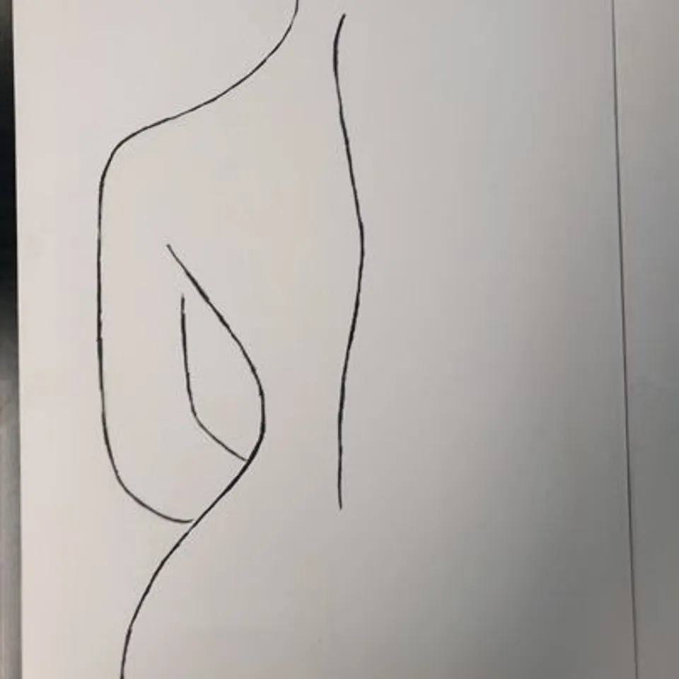 THREE ASSORTED ABSTRACT WOMEN NUDE NAKED LADY BODY LINE DRAWING ART CANVAS