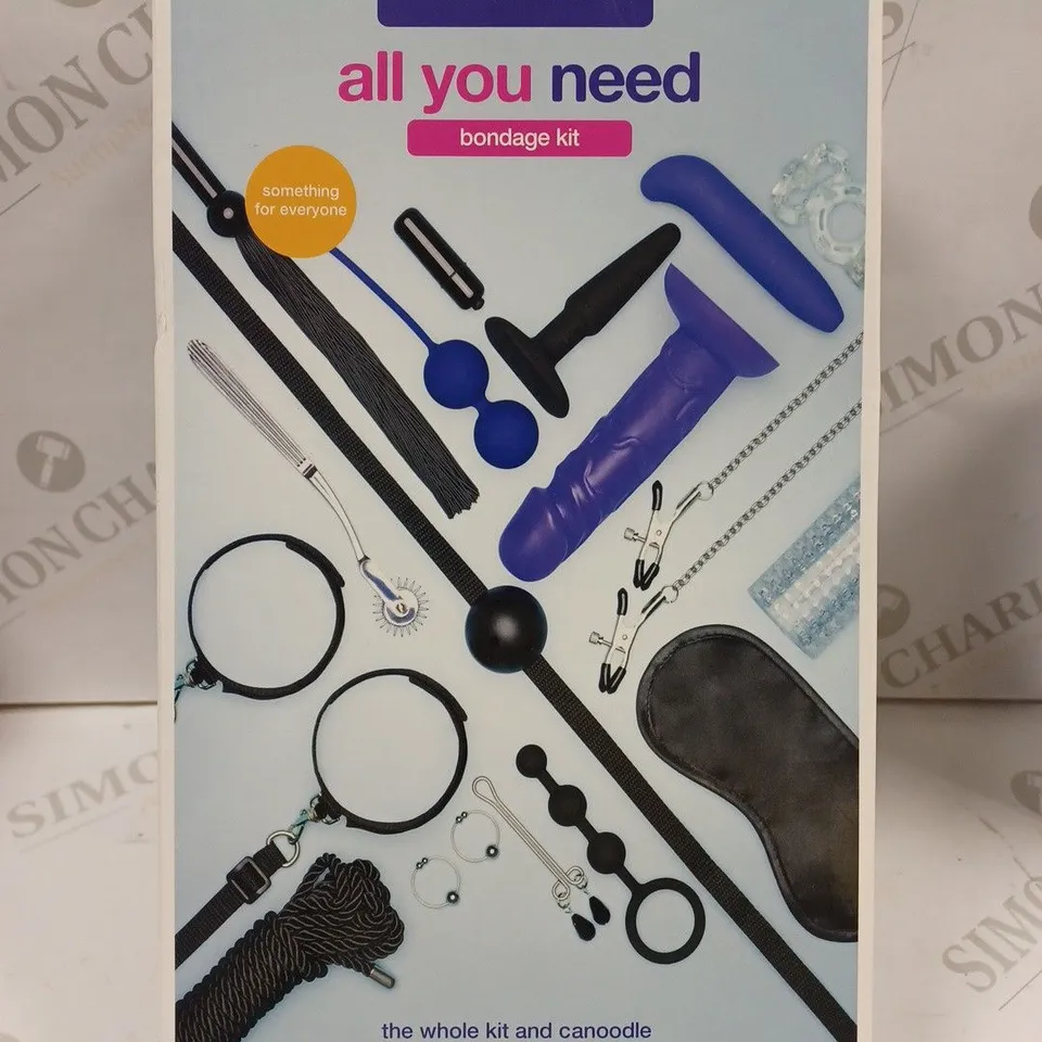 BOXED LOVEHONEY ALL YOU NEED BONDAGE KIT 
